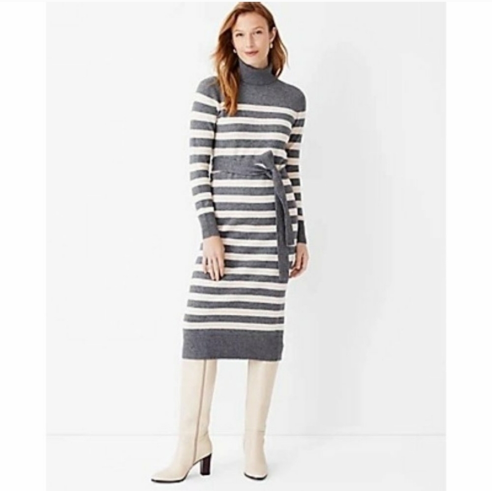 Ann Taylor Sweater Dress size XSP